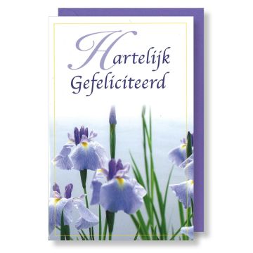 6 Wenskaarten met envelop - Hartelijk gefeliciteerd