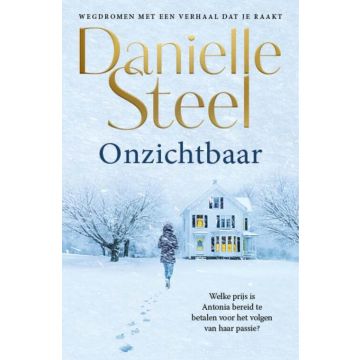 Onzichtbaar - Danielle Steel