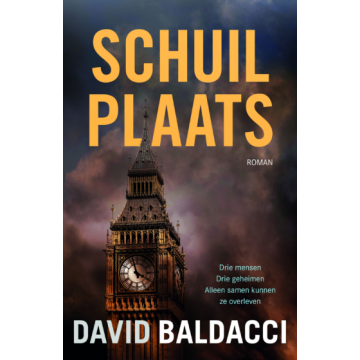 !! Schuilplaats - David Baldacci